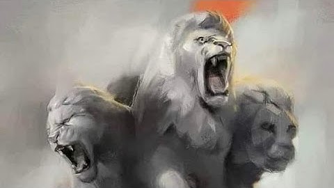 Line Color 3d Full Gameplay Walkthrough 🎮