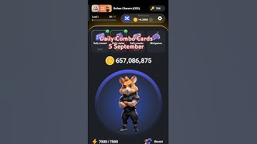 5 September Daily Combo Cards Hamster Kombat | #hamsterkombat #dailycombo #dailycipher #airdrop