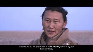 Green Pasture Soft Loan project Chandmana soum of Hovd aimag screenshot 1