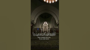 قران || المعيقلي #قران #اكسبلور #راحة_نفسية #اجر_لي_ولك #تلاوة_خاشعة #الجمعة