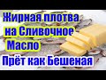 Крупная Плотва на Сливочное масло! Тесто для плотвы. Уловистое тесто для рыбалки.