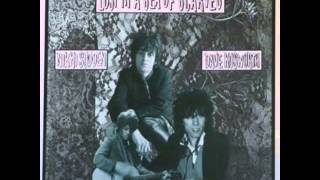 Video thumbnail of "Nikki Sudden & Dave Kusworth — Someone Who Cares"