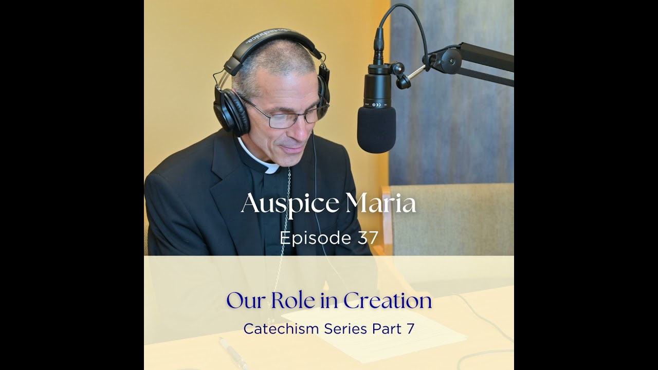 Creation, Angels, and Humanity (Catechism Series Part 7) - Auspice Maria Ep 37 with Bishop James ...