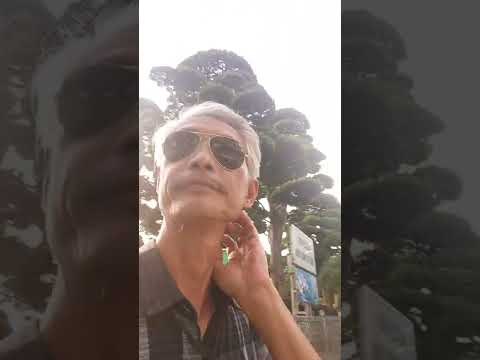 Video Dùng Cưa Máy Phẫu Thuật Cho Cụ Tùng | Gã Đầu Bạc - Vua... - youtube