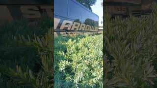 Wira Uria Ungiruta Woka Guku: Ukai Turute Ni Muingi:Wiharirie Kuiga Madegree thi Wakinya Guku