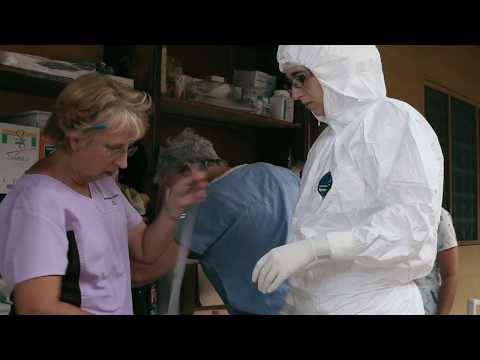 Facing Darkness - "Weight of Ebola"