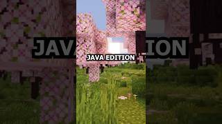 Celebrity VIBRANT VISUALS ARE NOW IN JAVA! | Visual Vibrance Shaders #minecraft #shorts Wealth