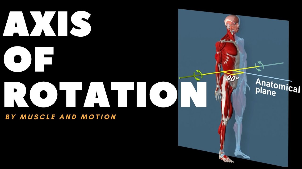 Understanding Axes Of Movement/Rotation