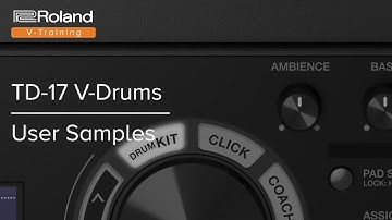 TD17 user samples