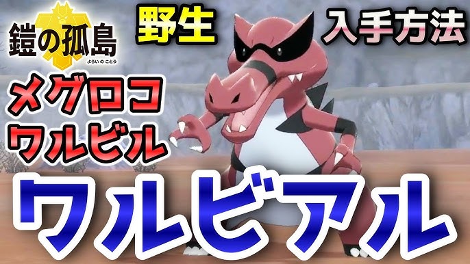鎧の孤島 メグロコ ワルビル ワルビアル 野生での出現場所 入手方法 進化条件も実況解説 ポケモン剣盾 ニャン速ちゃんねる Youtube 鎧の孤島 メグロコ ワルビル ワルビアル 野生での出現場所 入手方法 進化条件も実況解説 ポケモン剣盾 ニャン速ちゃんねる Youtube
