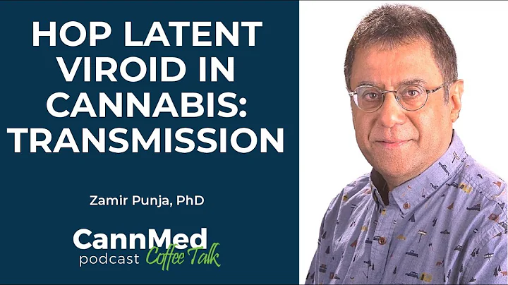 Hop Latent Viroid in Cannabis: Transmission