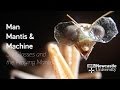 A Praying Mantis Wearing Tiny 3D Glasses for "Scientific Research"