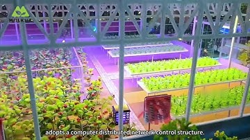 Smart Greenhouse Model 3 🌱 | High-Tech Hydroponic Farming