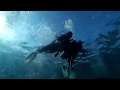 Подводный мир Красного моря -Хургада БУЛЬ-БУЛЬ