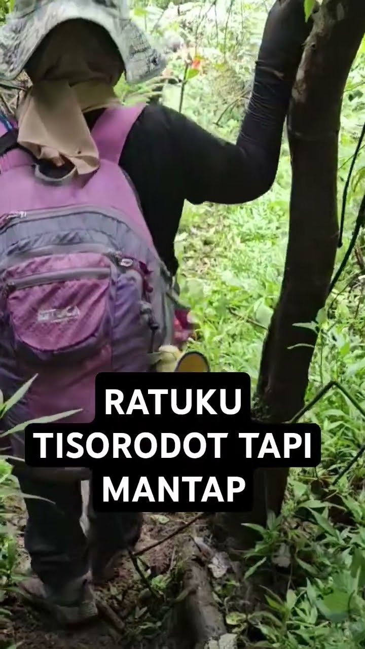 Penomene Di Gunung Mandalawangi .