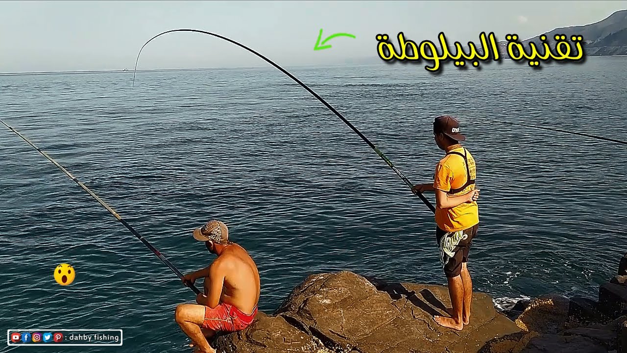 لم نتوقف عن سحب الأسماك طول اليوم بتقنية البيلوطة مع طعم الذي لا يقاومه أي سمك