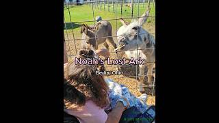 Celebrity Noah's Lost Ark Wealth