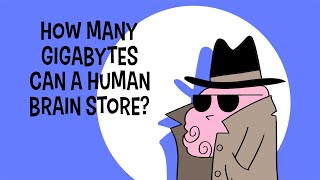 How many gigabytes can a human brain store?