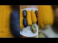 Corn and pear nigerian seasonal food shorts giveityourbestshort ottarfa