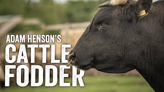 The Incredible Machines We Use To Make Forage  Adam Henson
