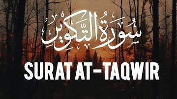 Surah At-Takwir (Be Heaven) Omar Hisham عمرهشام العربي-  سورة التكوي|QuranTilawat Uni660