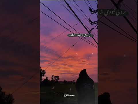 دانلود آهنگ و کلیپ از ک انال موزیک لاتی  1067