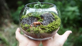 고사리 & 이끼 테라리움 만들기 (Make a Terrarium rabbit's foot fern & moss)