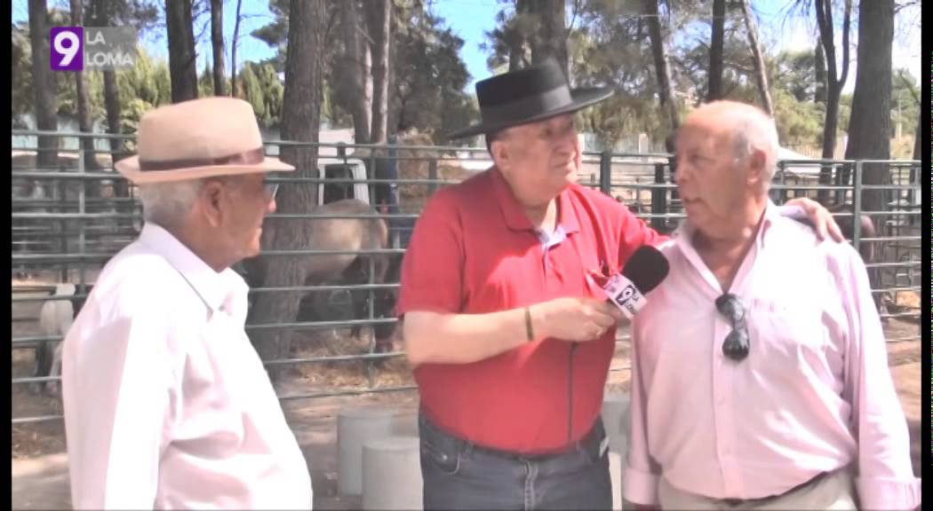 Feria de Torreperogil 2014 · Feria de ganado 1/2