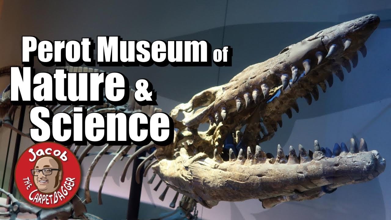 Perot Museum of Nature and Science