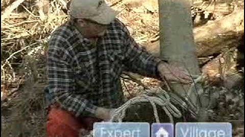 Removing a Widow-Maker Tree with a Rope