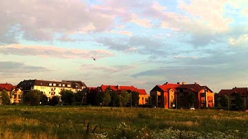 3D touring flight - Walkera V200D03 stock version - Devo 8s - 850mAh 45-90C batt -