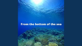 Full From the bottom of the sea (feat. 催眠少年) News
