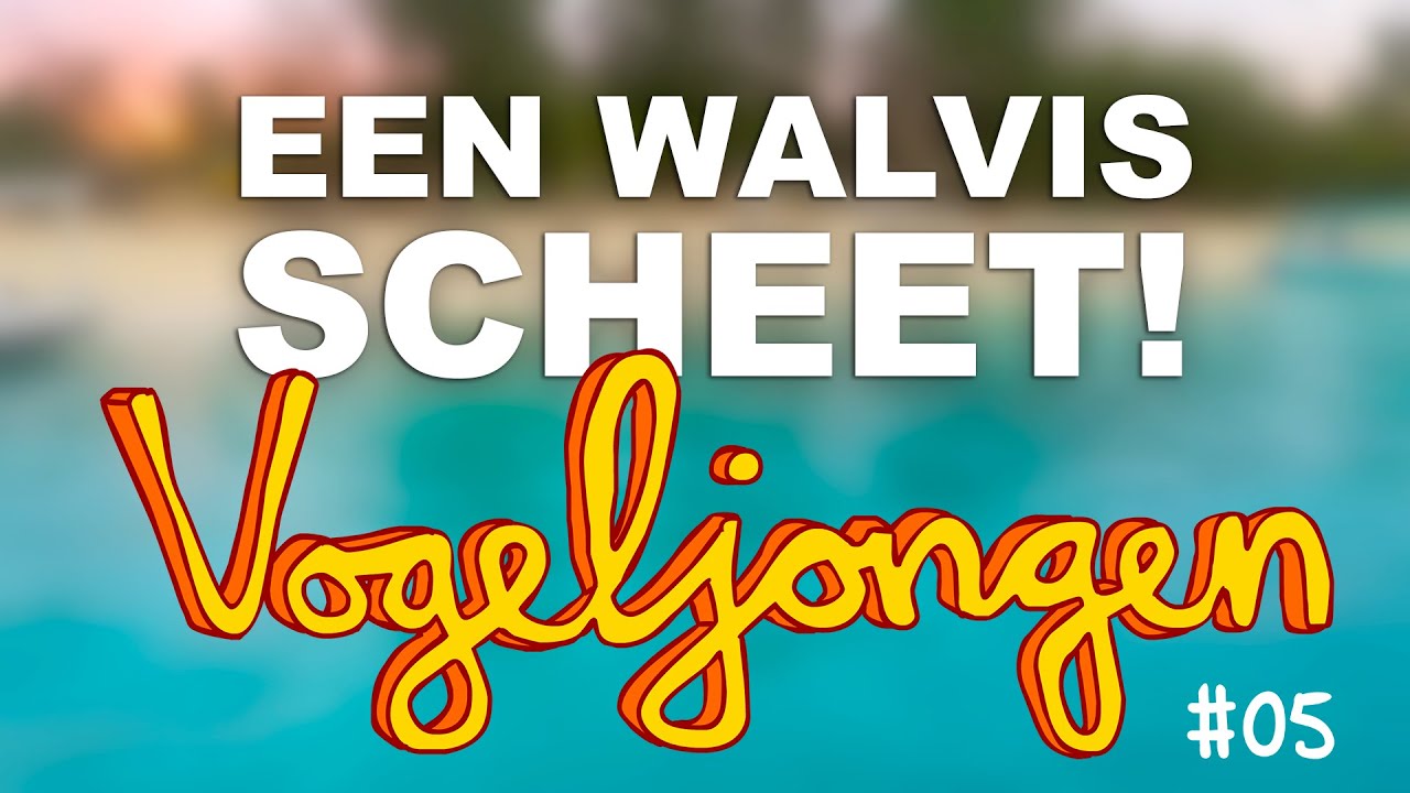 Een Walvis Scheet?! - Vogeljongen Vlog #05