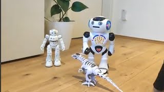 Robot digital dance