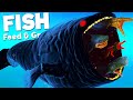 New dark bloop vs prehistoric prognathadon  feed  grow fish