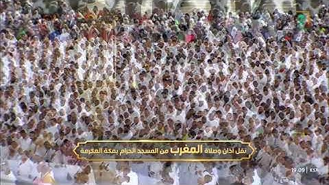 تلاوة بديعة من سورة النساء 36-42 للشيخ د. #بندر_بليلة مغرب الثلاثاء 29 ذو القعدة 1446هـ