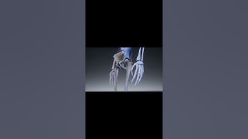 Do you have an Extra bone ? #Shorts