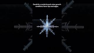 Frost Dendrite Crystal Growth ASMR | Delicate Icy Beauty
