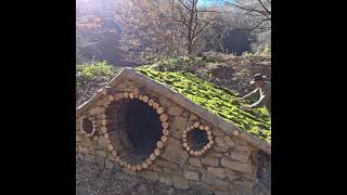 Building Hobbit Shelter & Cooking in the Forest | Bushcraft Survival 🐾