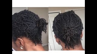 Protective Style: Mini Twists on TWA | 10 Months Post