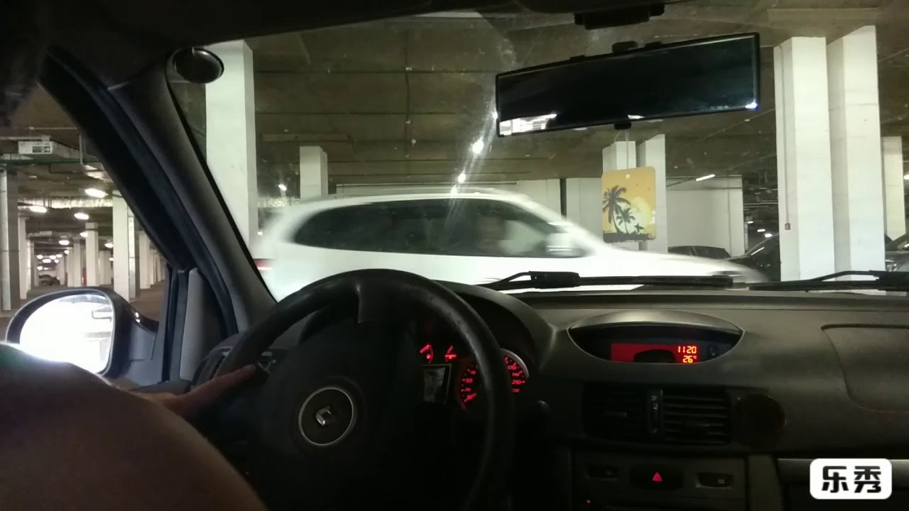 Рыжики на машине это