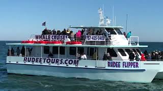Incredible Whale Watching | Rudee Tours | Virginia Beach