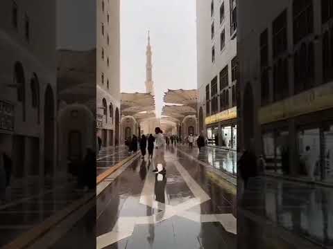 ومامحمد إلا رسول قد خلت من قبله الرسل تلاوة خاشعة بصوت القارئ إسلام صبحي