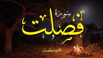 سورة فصلت كاملة كما لم تسمعها من قبل 🎧❤️ | القارئ معاذ صيام