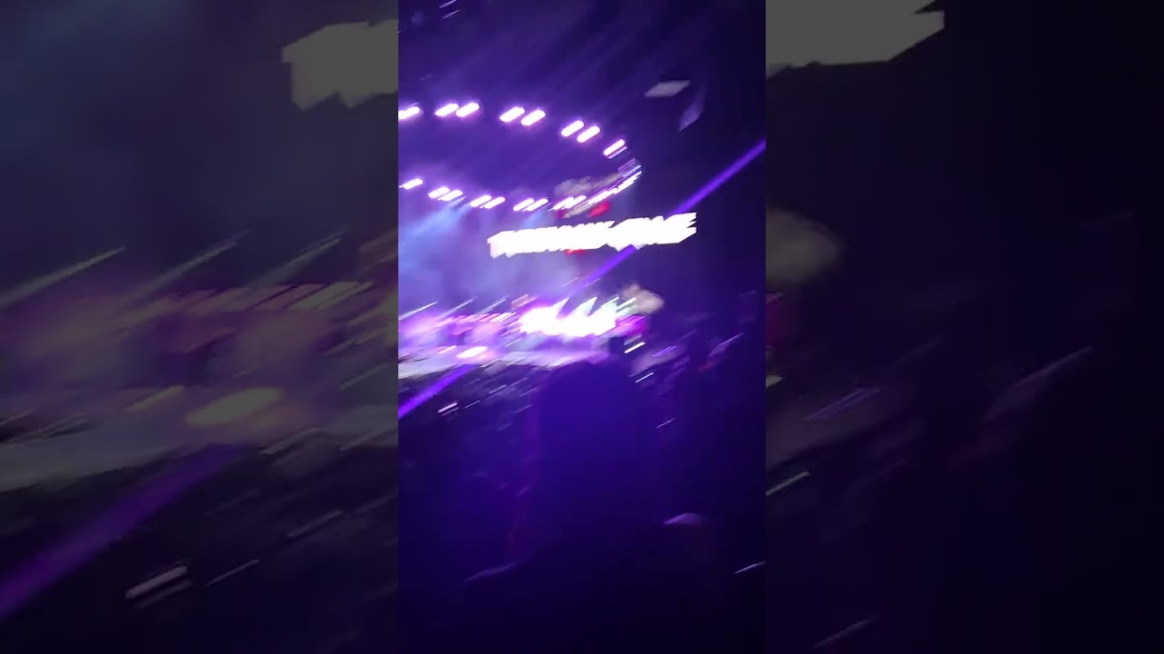 Me at the three days grace concert last night with my sister February 21 2026