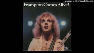 Peter Frampton Show Me The Way Live