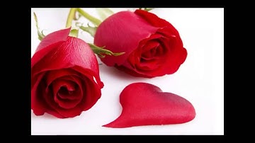 الشيخ عبدالودود حنيف سورة ( الطارق )