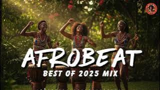 BEST AFROBEAT MIX 2025 🌴 Nonstop Amapiano Hits for Party & Dance Lovers