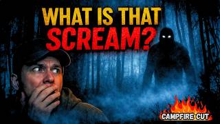 Celebrity The Screams in the Kentucky Hollers… What’s Making That Sound at Night? Net Worth