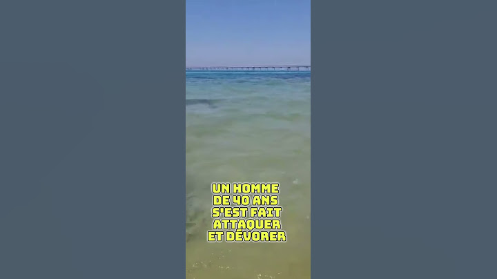 SHARK ATTACK ON THE BEACH IN ISRAEL #morgianetells #unusual #miscellaneous #israel #telaviv